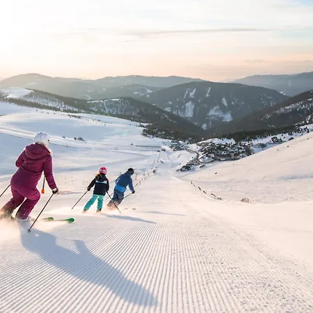 Tatil Evi Hochgamshuette - Berghuette Auf 1800m Mit Sauna, Kamin & Bergpanorama