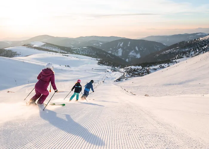 Dom wakacyjny Hundefreundliches Almhaus Auf 1800m, Naehe Skilift Mit Sauna & Kamin, Pur